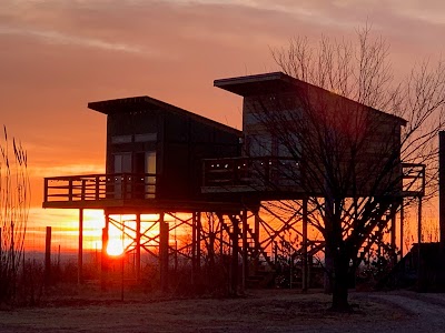 Safari Huts