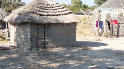 Photos of Moremi Game Reserve
