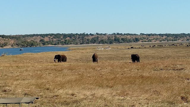 Chobe National Park