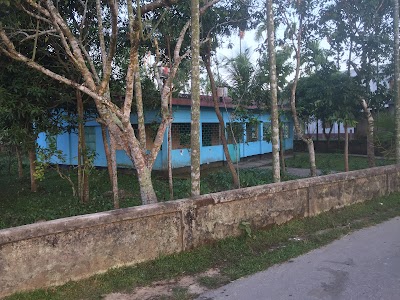 Photos of Anatabad Jame Masjid