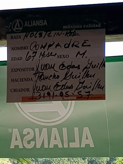 Photos of Rancho Palmira
