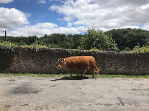 Photo n°123 de Les Tables du Bistrot à Limoges (Restaurant français)