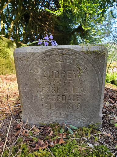 Tidewater Cemetery - Thumbnail