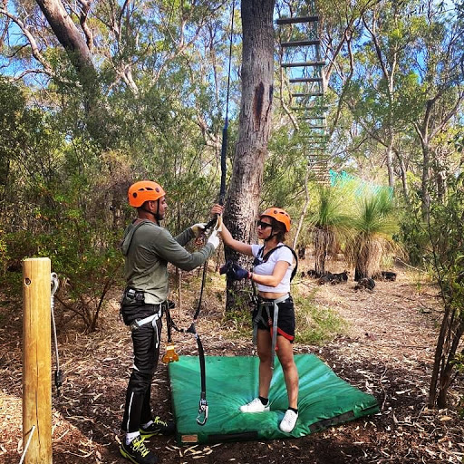 Treetops Adventure Yanchep Gallery - Australia