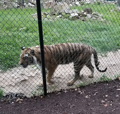 Photos of Nemacolin Animals