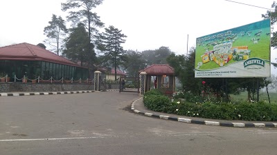 Photos of Farm Fresh