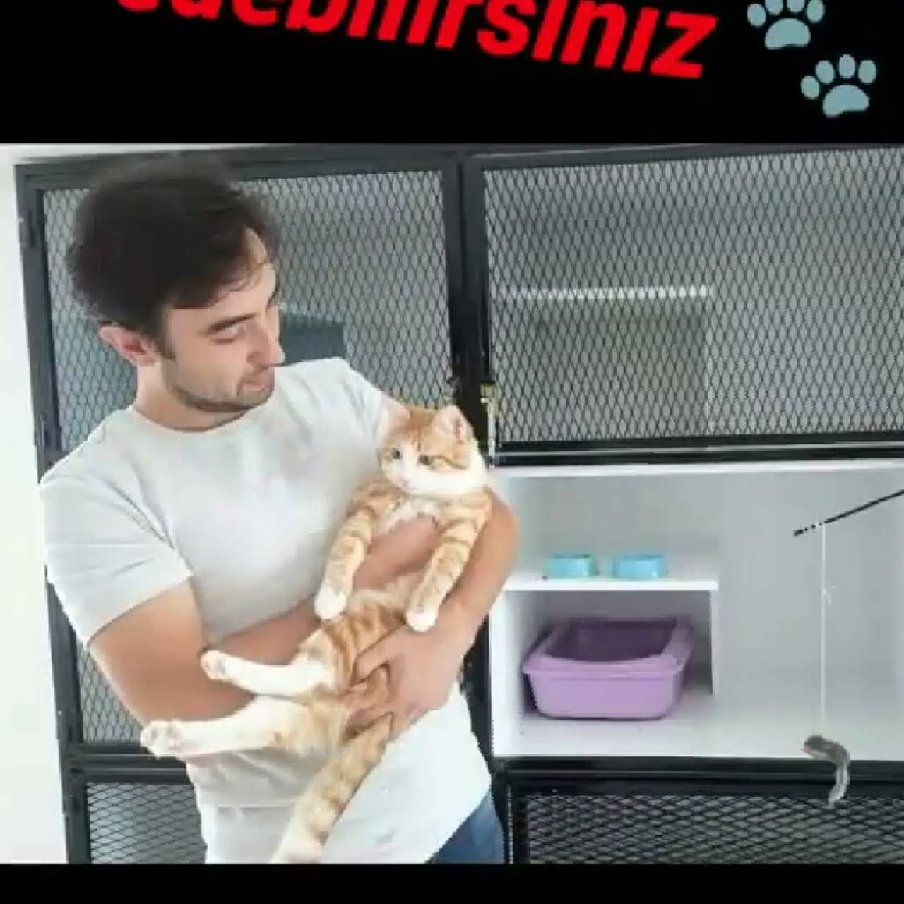 Kastamonu EMPATİ VETERİNER KLİNİĞİ ve EVCİL HAYVAN PANSİYONU Acil