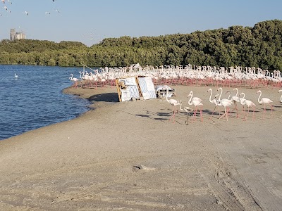 Photos of Ras al Khor Wildlife Sanctuary