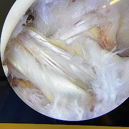 Photo n°8 de Docteur Jacques-marie Adam Chirurgien Orthopédiste à Rouen (Chirurgien)