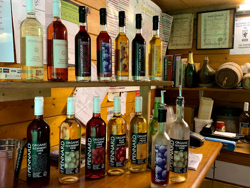 Avalon Vineyard - Thumbnail