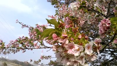 戸田スポーツ広場