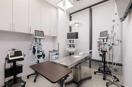 Marine and Fraser Veterinary Clinic - Thumbnail