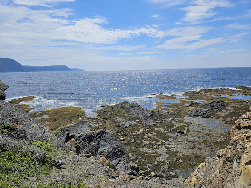 Lobster Cove Head Lighthouse - Thumbnail