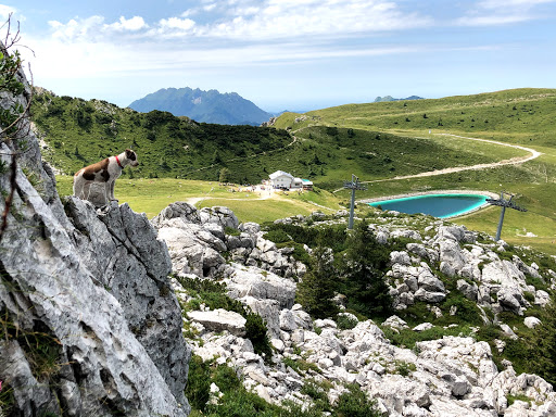 Falesia delle Marmotte Logo