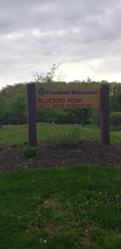 Bluebird Point