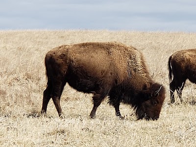 Joseph H. Williams Tallgrass Prairie Preserve