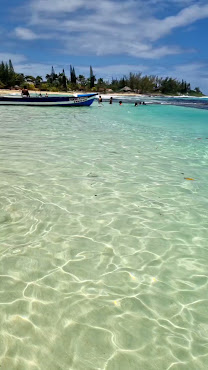 Reggae Beach by null