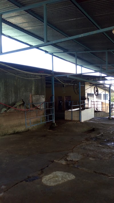 Photos of Hotel Vale's