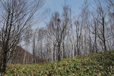 Photos of 乗鞍高原
