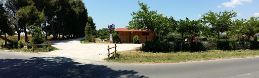 Agricampeggio Tognoni - Glamping - Thumbnail