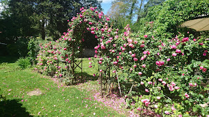 Photo n°22 de Appolo Jardins à Grasse (Jardinier)