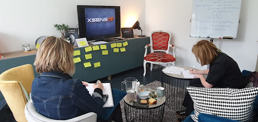 Xsens Hd