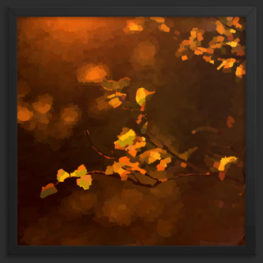 CodaCo - Thumbnail