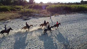 Photo n°33 de Ranch Tavagn'A Cavallu balade et baignade à cheval en corse à Talasani (Snack)