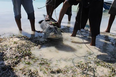 Photos of Kalaidhoo Ferry