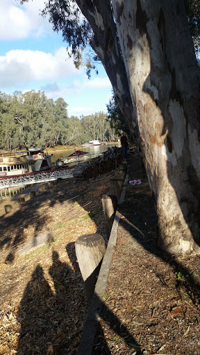 Echuca Disposals - Thumbnail