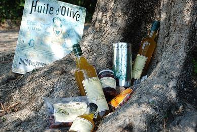 Domaine Oléicole LESSATINI