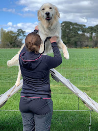 Photo n°4 de Club canin sport éducation bigouden à Plobannalec-Lesconil (Club)