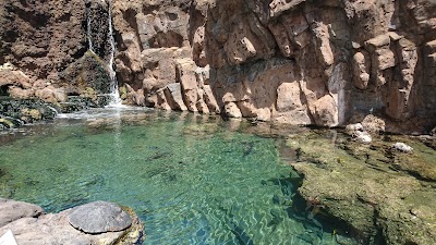 Maui Ocean Center, The Aquarium of Hawaii