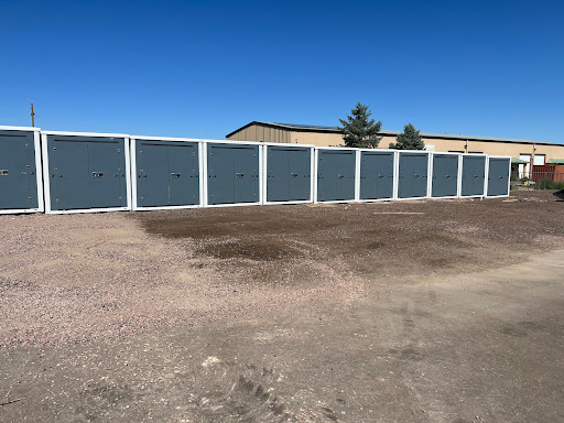 Milestone Storage - Visual