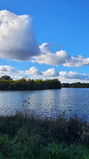 Dinton Pastures Country Park - Thumbnail