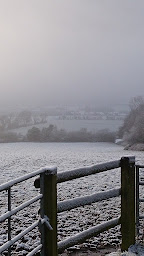Photo n°6 de Haras de SURRAIN à Surrain (Agriculteur)