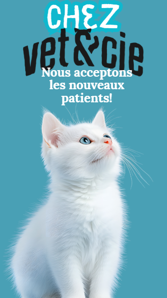 Clinique Vétérinaire du Quartier