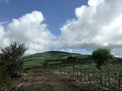 Photos of Centro De Salud Xochitepec