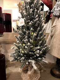 Photo n°12 de Ki Coud Koi à Meudon (Magasin de jouets)