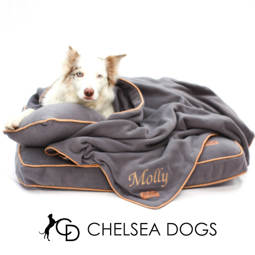Chelsea Dogs