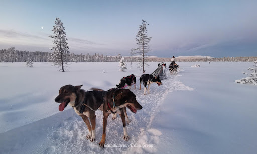 Scandinavian Travel Group, Levi Finland - Thumbnail