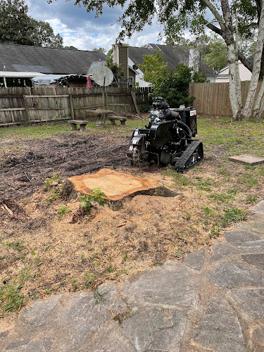 Carlson Tree and Land Services LLC