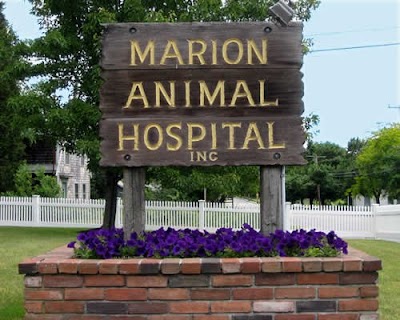 veterinary-care