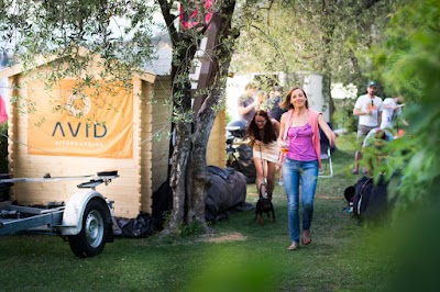 Photos of Avid Kiteboarding