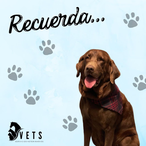 VETS Servicios Veterinarios
