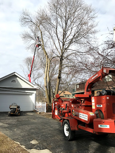 Precision Tree & Landscape Service LLC