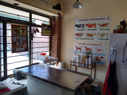 Hospital Veterinaria El rayo - Thumbnail
