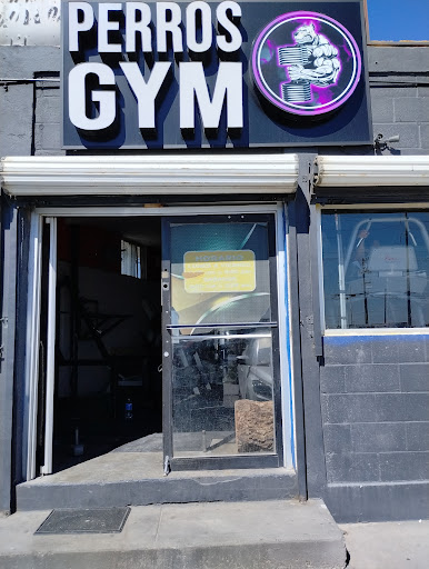 Perros Gym - Thumbnail