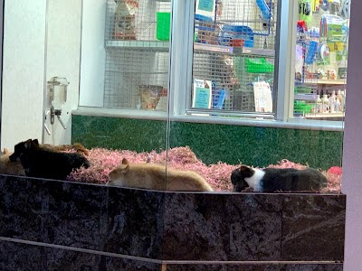 Pet City Pet Shops