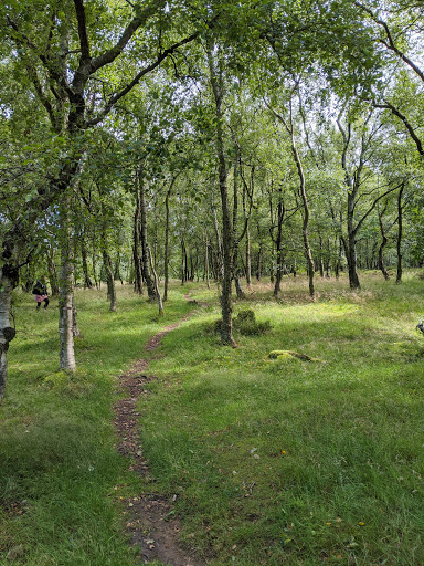 Nine Ladies Stone Circle Gallery - United Kingdom